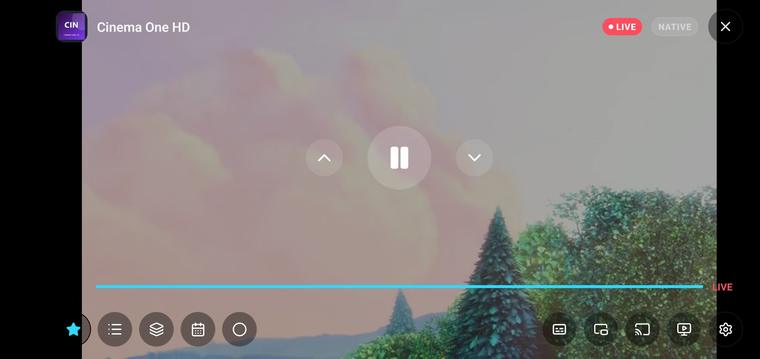 The player in full screen